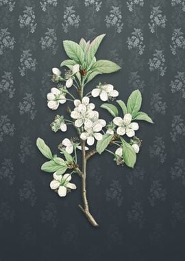 Vintage White Plum Flower