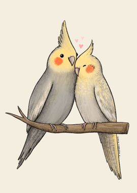 Cockatiel Cuddle