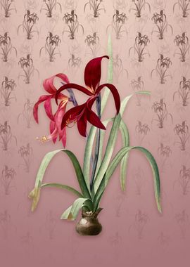 Sprekelia on Dusty Pink