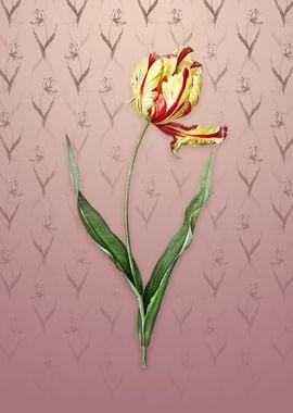 Vintage Didiers Tulip