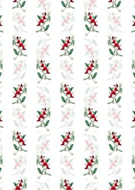 Tangier Pea Flower Pattern