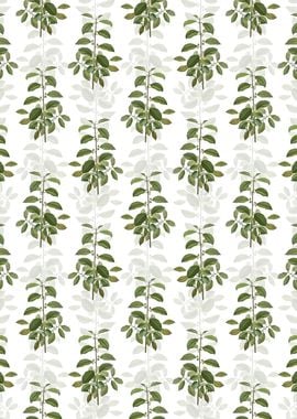 Alder Buckthorn Pattern