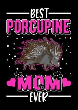 Porcupine Gift