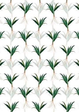 Date Palm Tree Pattern