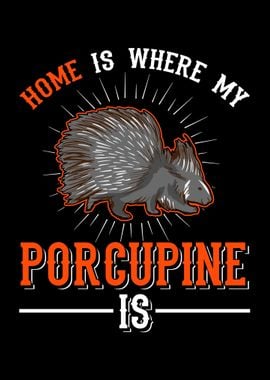 Porcupine Gift