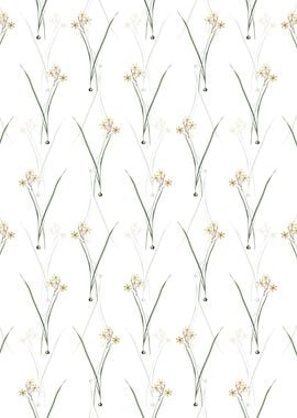 Ixia Longiflora Pattern