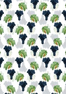 Fuella Grapes Pattern