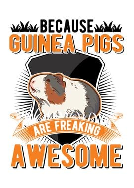 Guinea Pig Gift