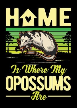 Opossum Lover Possum Gift