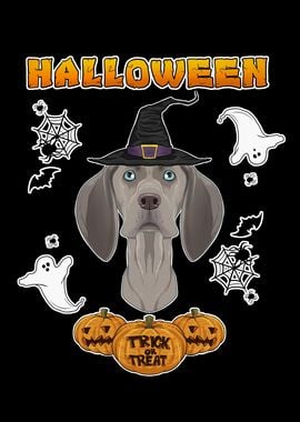 Happy Halloween Weimaraner