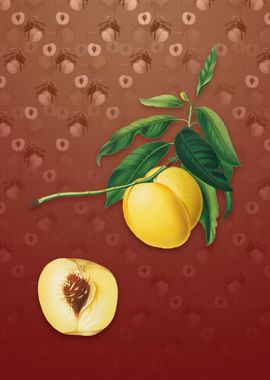 Vintage Yellow Apricot