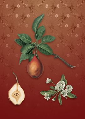 Vintage Pear on Falu Red