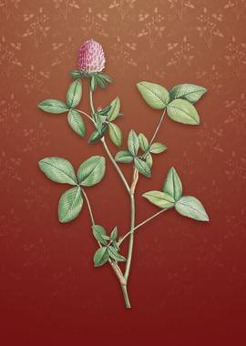 Vintage Pink Clover on Red