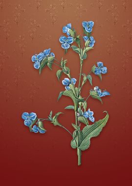 Vintage Commelina Tuberosa