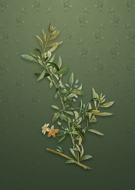 Goji Berry on Lunar Green