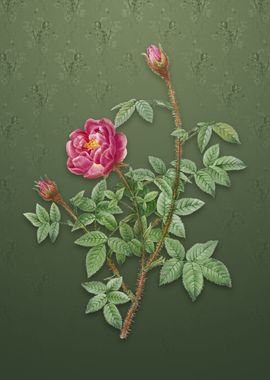 Moss Rose on Lunar Green