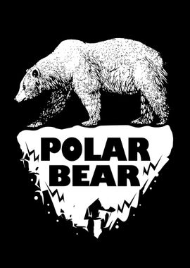 Polar Bear Ice Bear