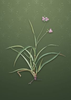 Spiderwort on Lunar Green