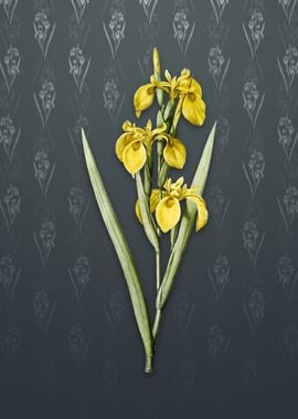 Irises on Slate Gray