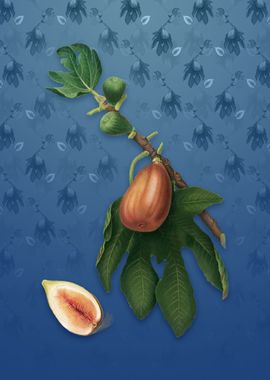 Vintage Fig on Bahama Blue