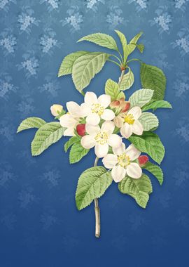 Vintage Apple Blossom