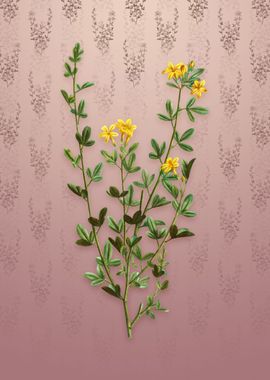 Yellow Jasmine Flowers