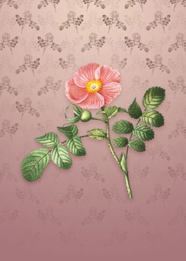 Vintage Japanese Rose