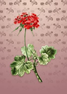 Vintage Scarlet Geranium