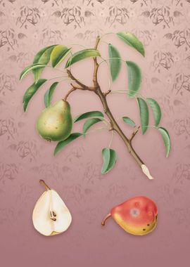 Vintage Pear on Dusty Pink