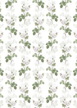 White Misty Rose Pattern