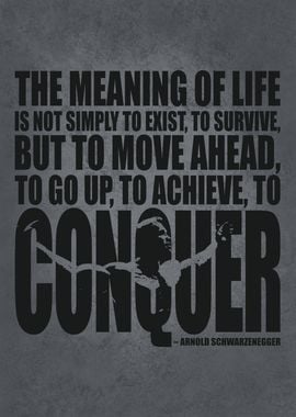 Meaning Of Life To Conquer