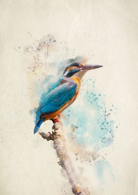 The Kingfisher Bird