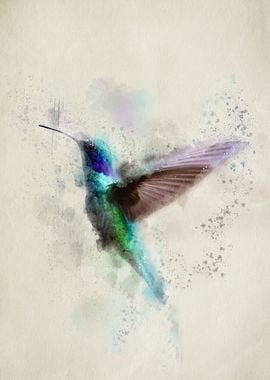 The Hummingbird