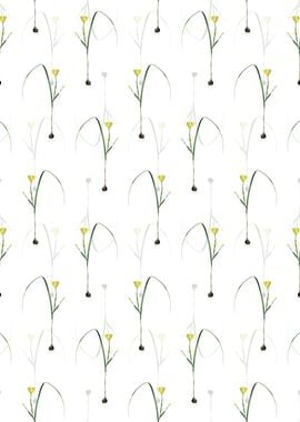 Floral Cape Tulip Pattern