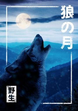 Wolf howling to the moon