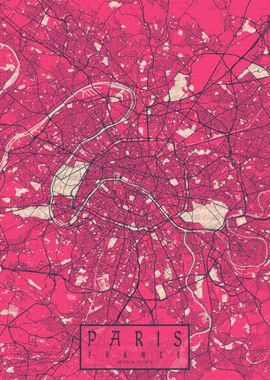 Paris City Map Blossom