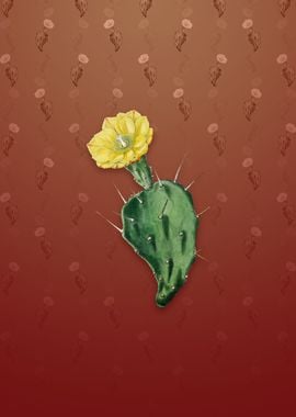 One Spined Opuntia Flower