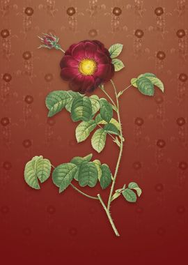 Vintage Rose on Falu Red