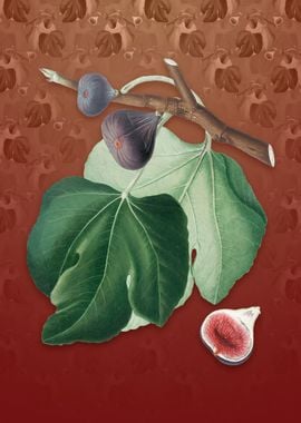 Black Fig on Falu Red