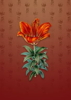 Blood Red Lily Flower