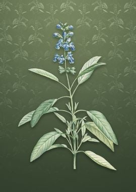 Sage Plant on Lunar Green