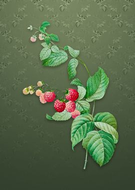 Vintage Red Berries