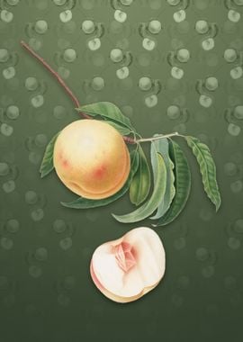 Vintage Duracina Peach