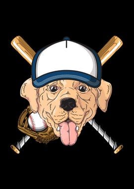 Labrador Baseball Dog