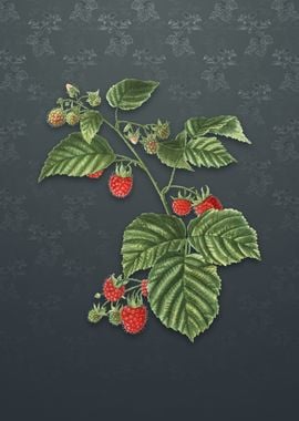 Raspberry on Slate Gray