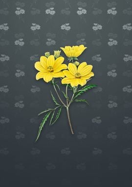 Golden Coreopsis Flower