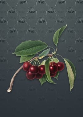 Cherry on Slate Gray