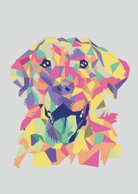 Colorful labrador dog