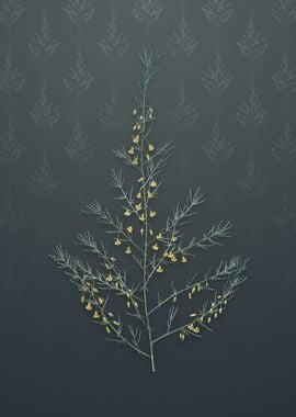 Vintage Sea Asparagus