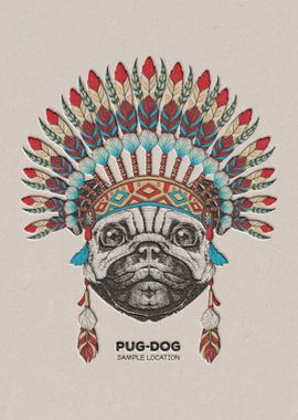 Pug Dog